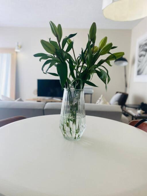 A Zen And Chic Beachfront Apartment スワコプムント エクステリア 写真